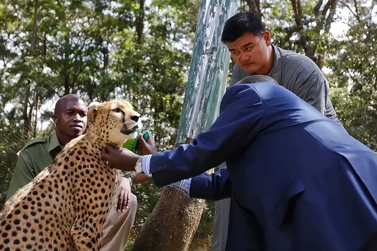 明星吃黑料理,_明星素食信仰真实性_娱乐圈明星饮食背后故事